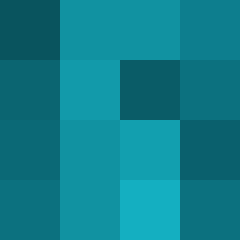 CeilingBird's skin