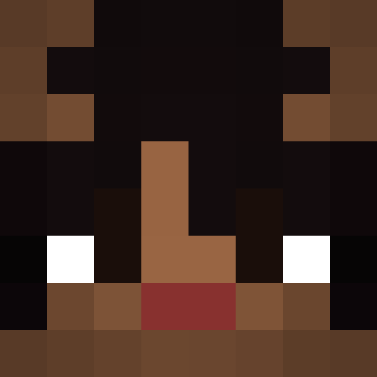 BukkitAPI's skin