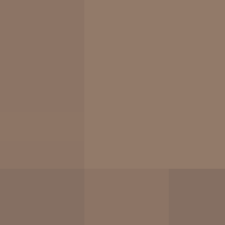 deminecrafterlol's skin