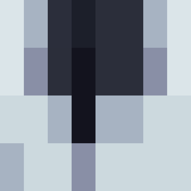 AutoSkin's skin