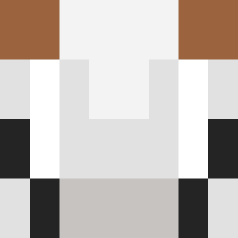 CeilingBird's skin