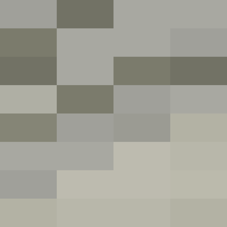 executory's skin
