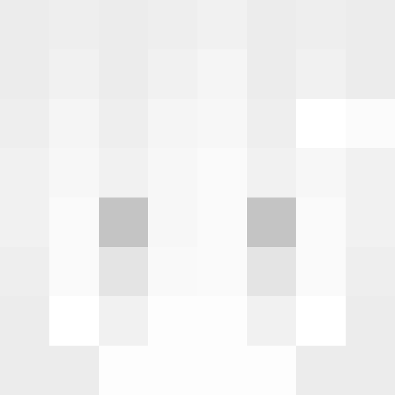vnrp's skin
