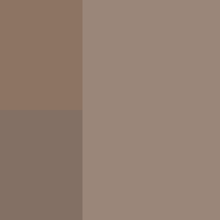 8aca680b22461340's skin