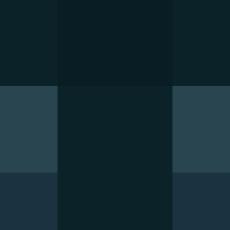 ElectronicSex's skin