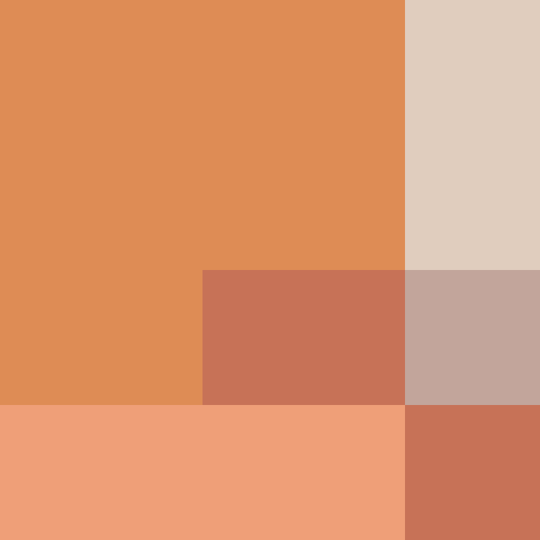 deminecrafterlol's skin
