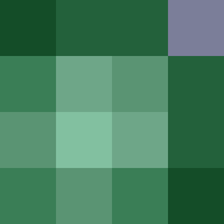 CrypticLoser13's skin