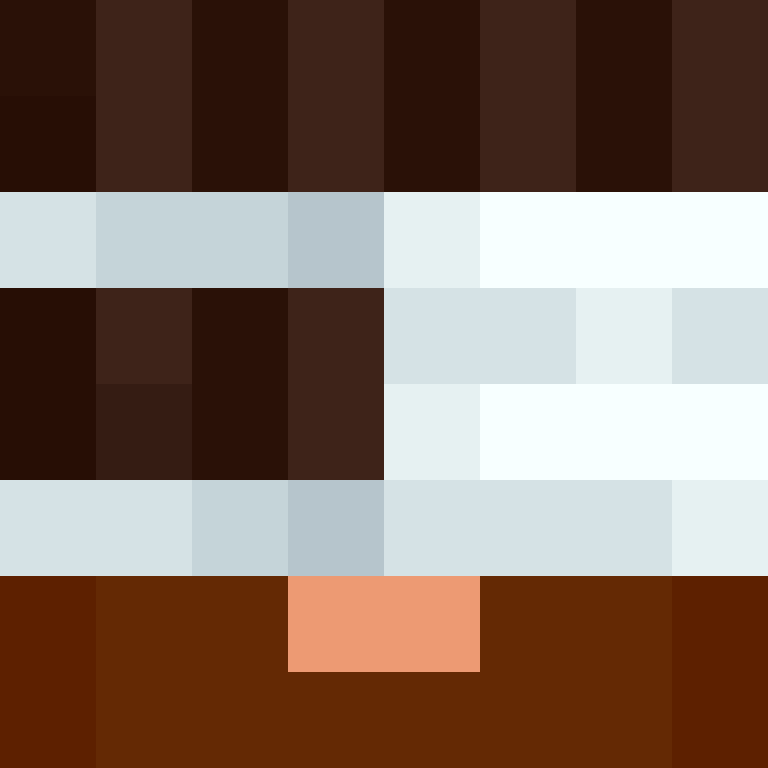BukkitAPI's skin