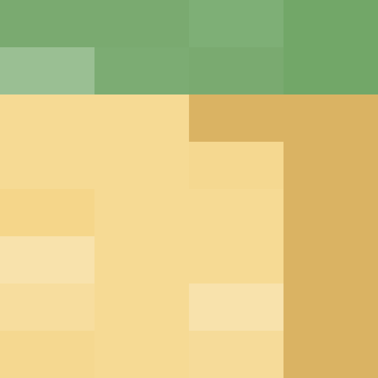 acin5's skin