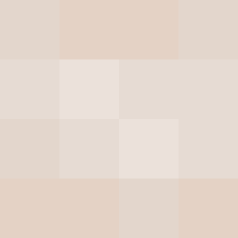 8aca680b22461340's skin