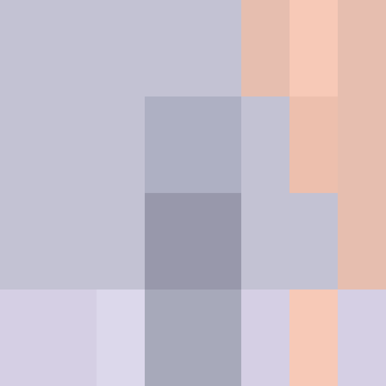 CeilingBird's skin