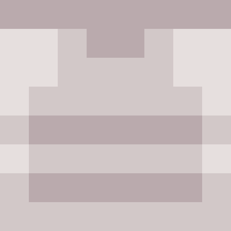 BukkitAPI's skin