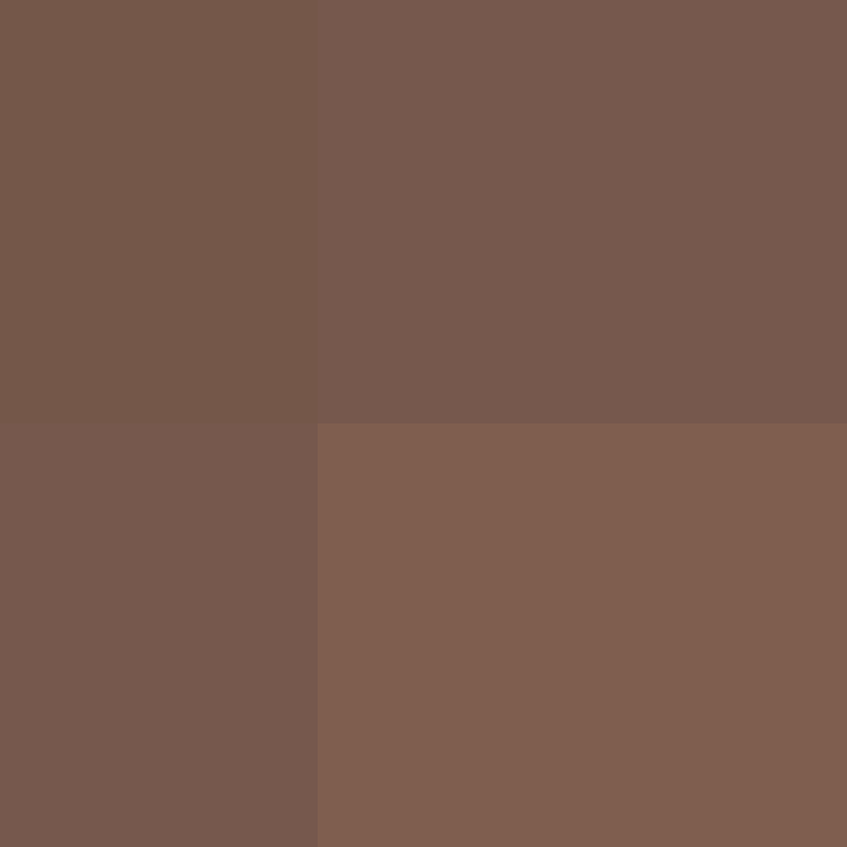 MLK15's skin