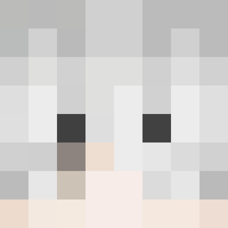 wiredframe's skin