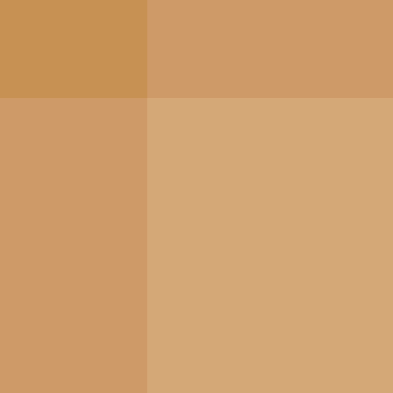 XenokratesRitva's skin