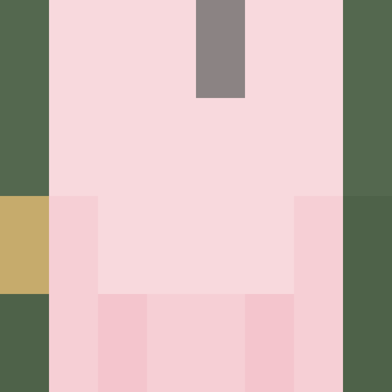MLK15's skin