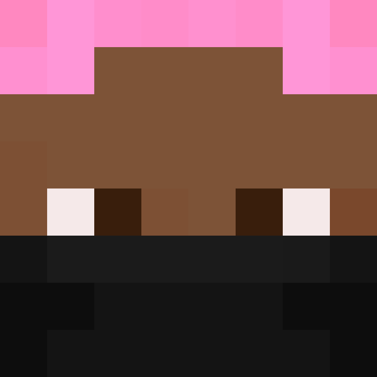 8aca680b22461340's skin