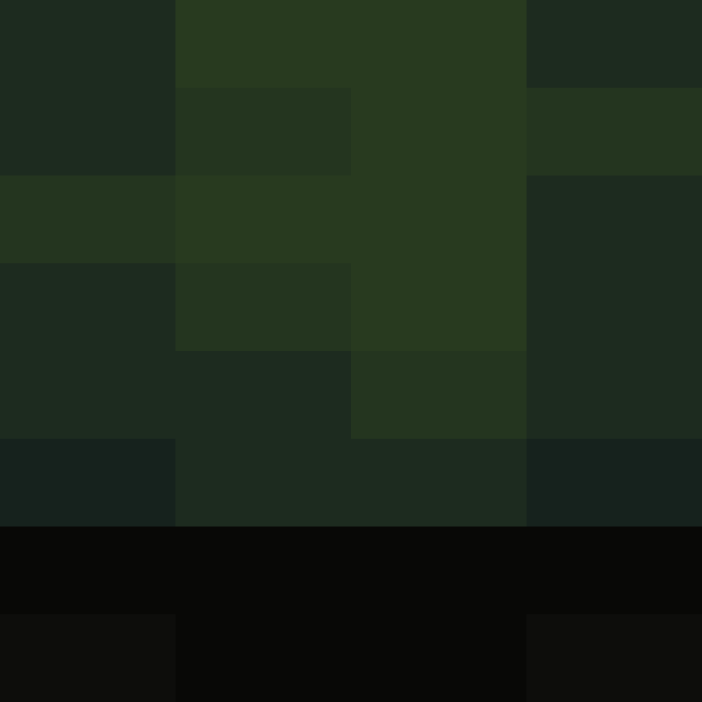 1etho's skin