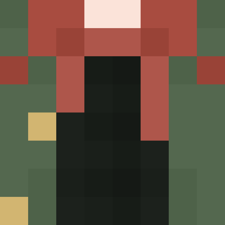 wiredframe's skin