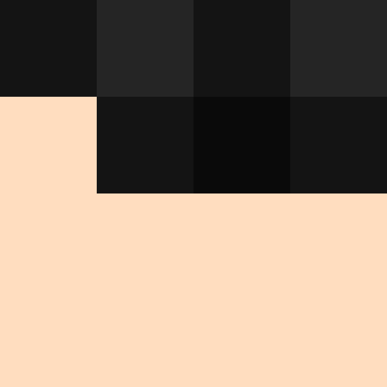 dragloner's skin