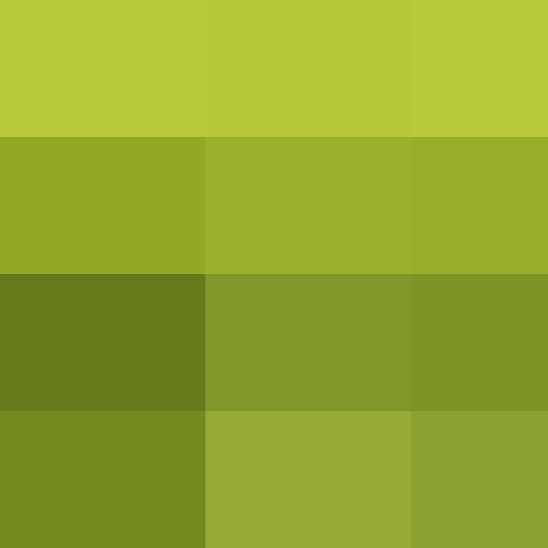 BradBot_2's skin