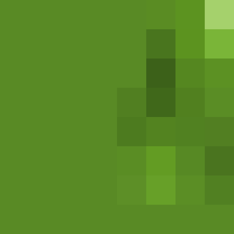 Kaboyio's skin