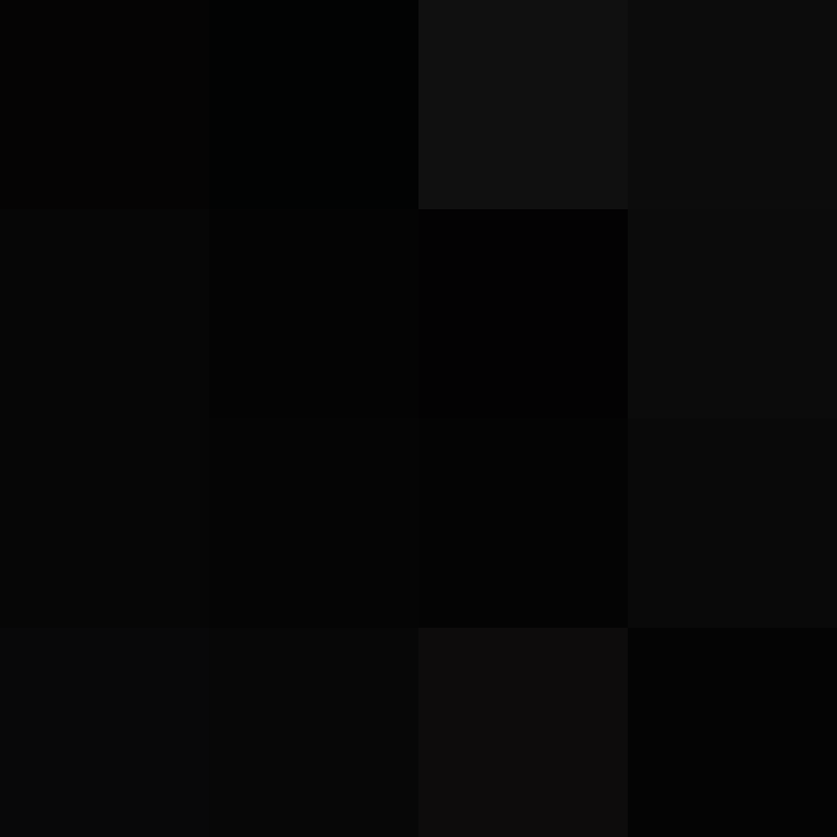 Lenticchie's skin