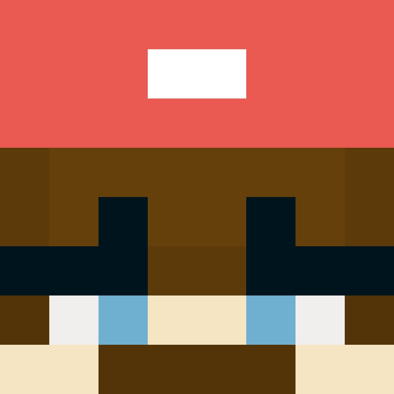 BukkitAPI's skin