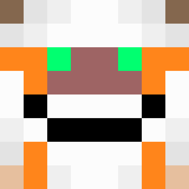 SkinEnthusiast's skin