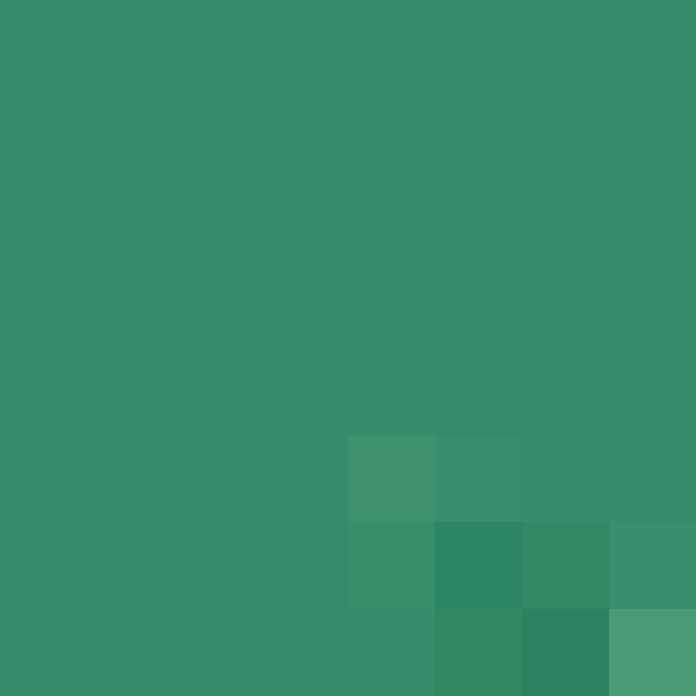 executory's skin