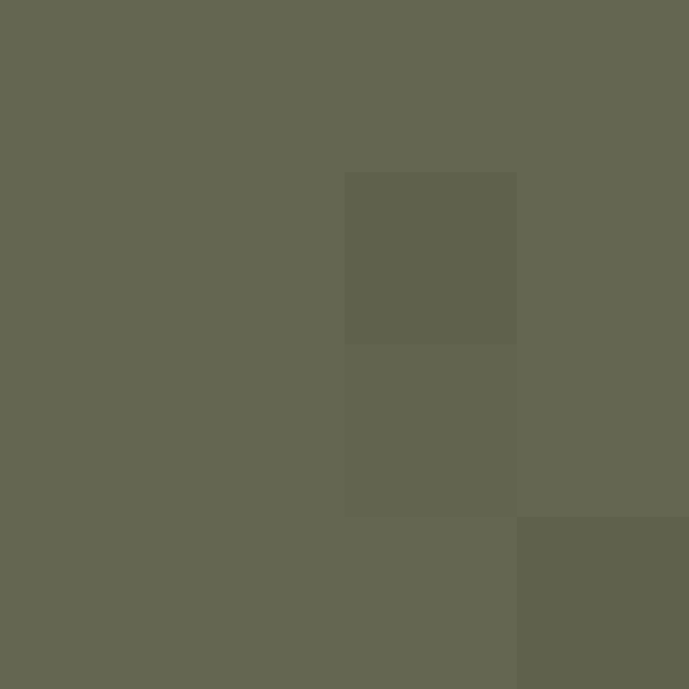 1etho's skin