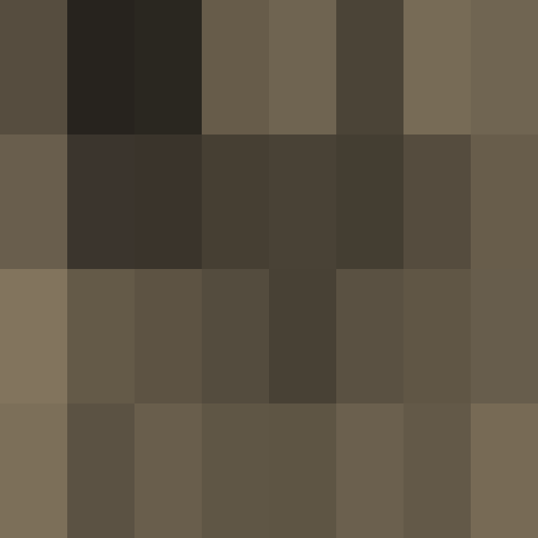 GR1ZZLY180's skin