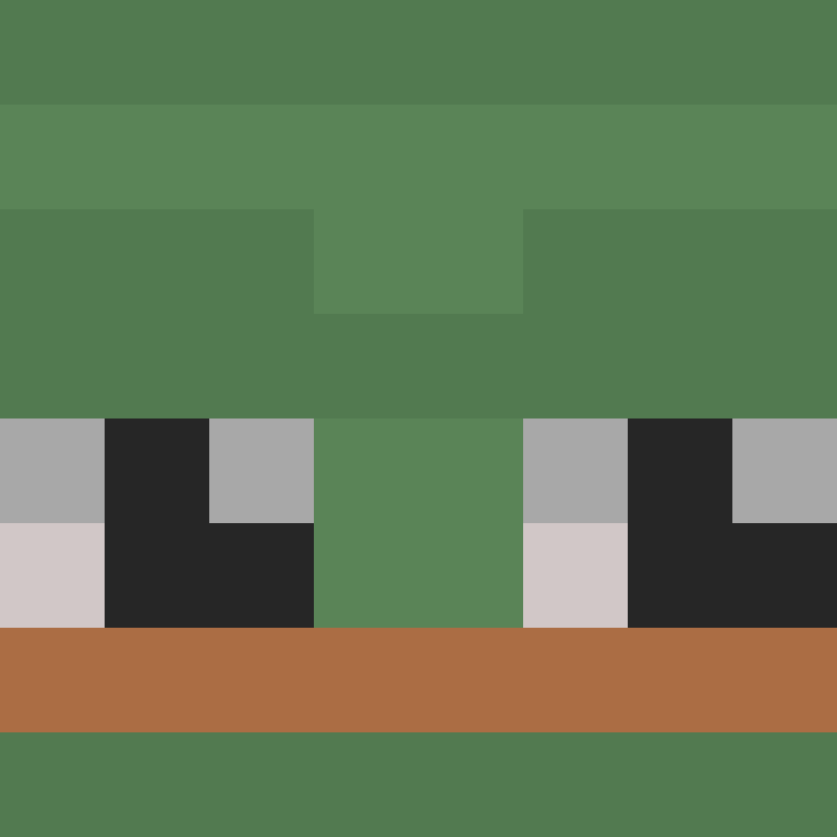 acin5's skin