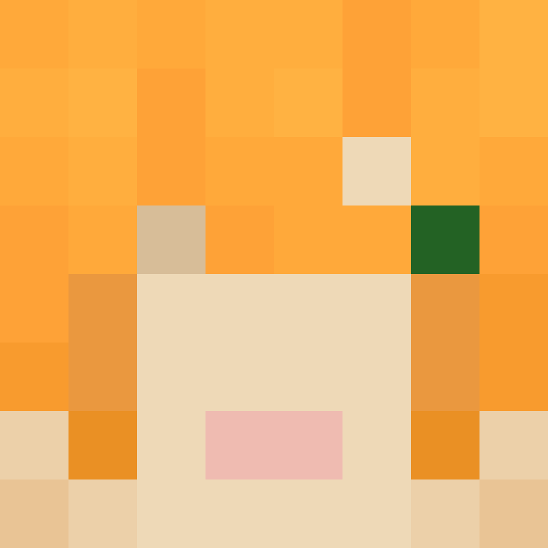 8aca680b22461340's skin