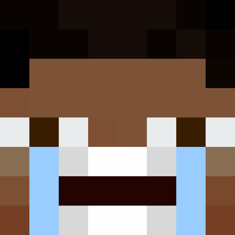xX_No_Income_Xx's skin