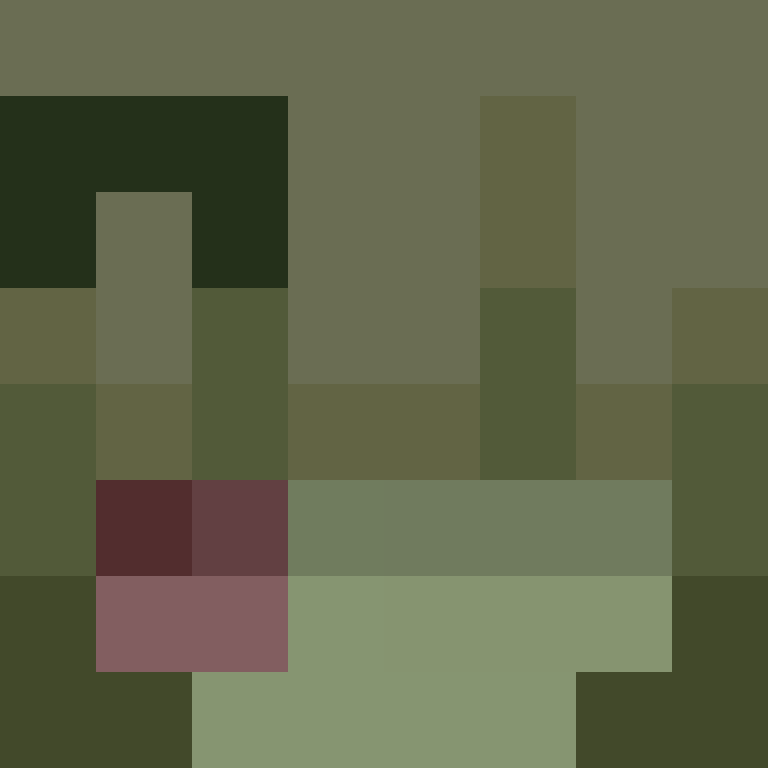wiredframe's skin