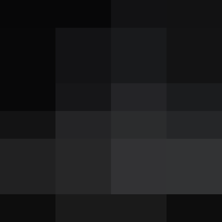 CeilingBird's skin