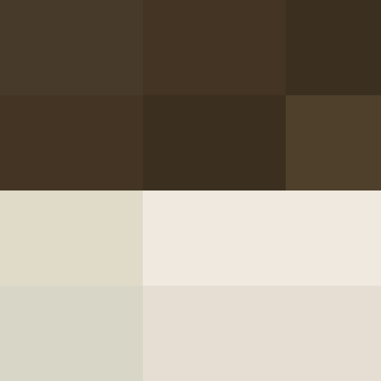 Vaatwastablet's skin