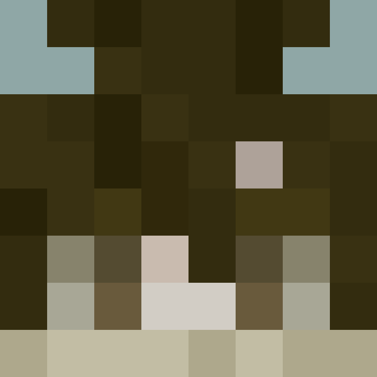 xX_No_Income_Xx's skin