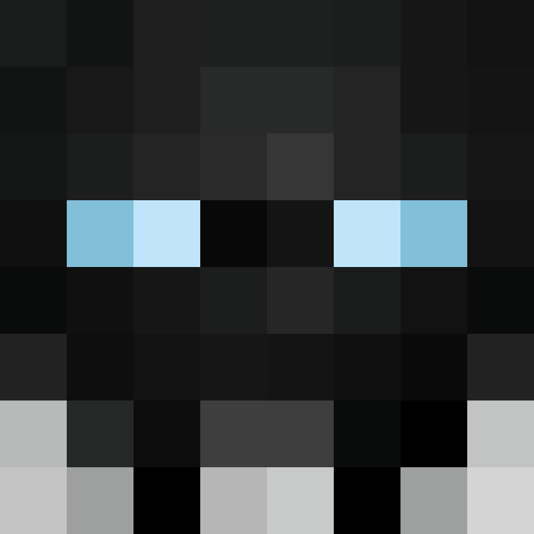 h4yl33's skin