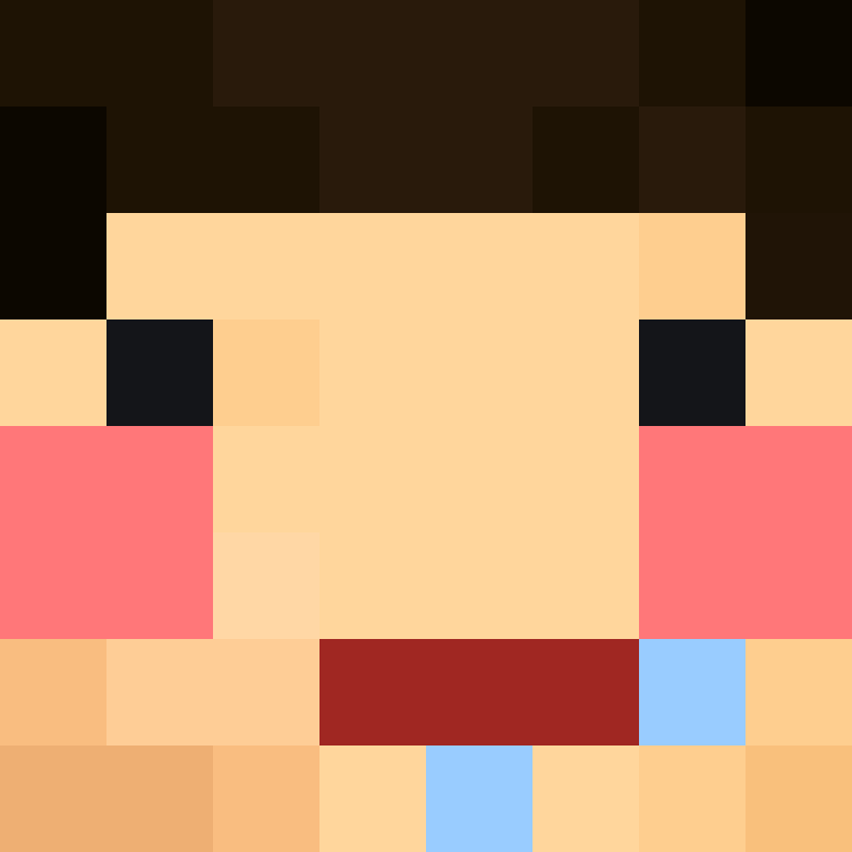 8aca680b22461340's skin