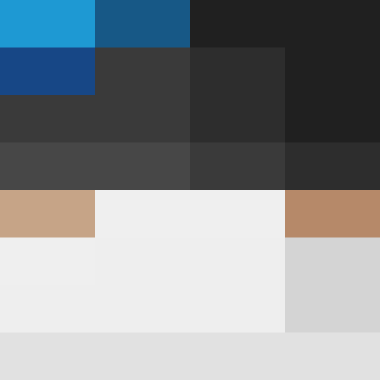 XenokratesRitva's skin