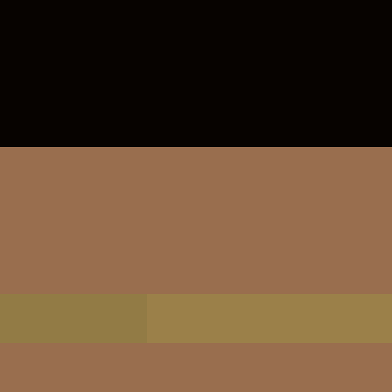 acin5's skin