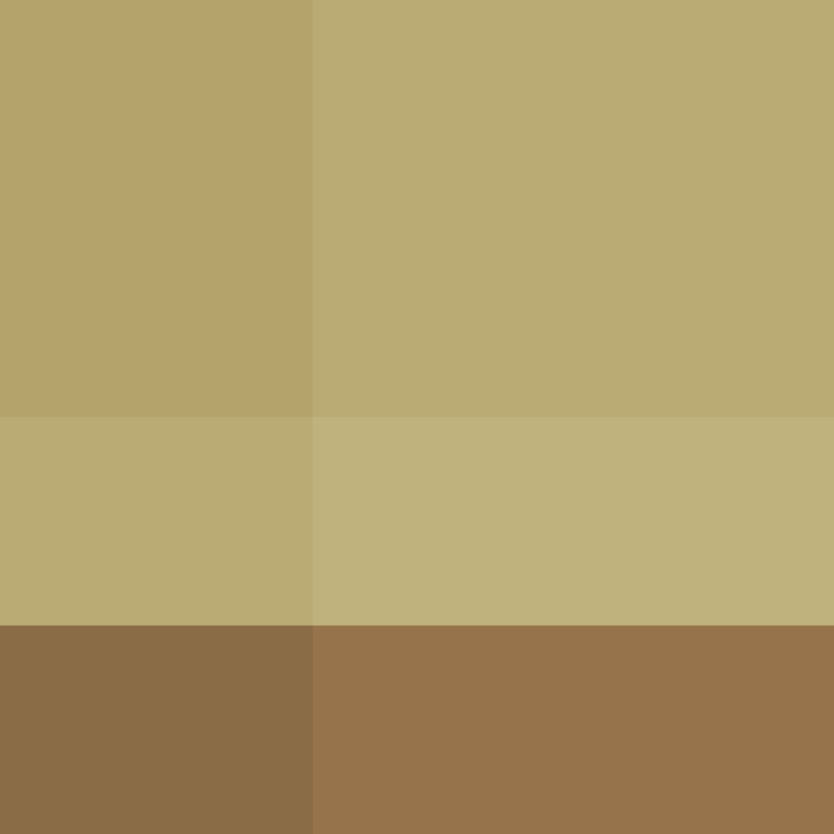 AdamTheHedgehog's skin