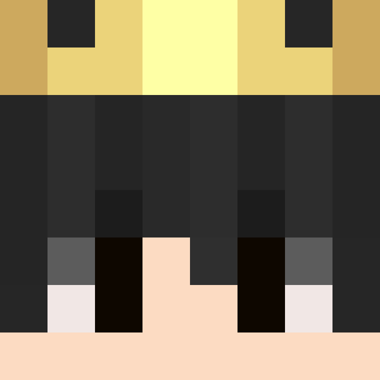 CeilingBird's skin