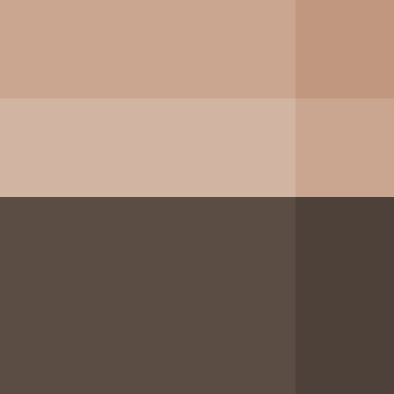 Auntbrix's skin