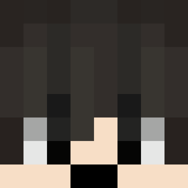 BukkitAPI's skin