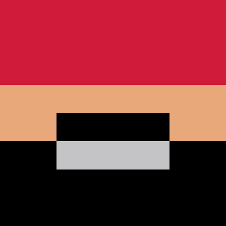 BradBot_2's skin