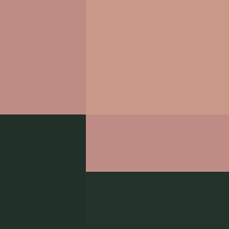 theDevJade's skin