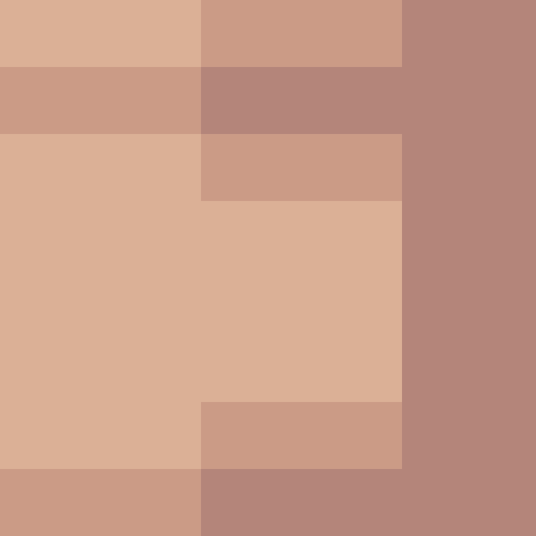 Notro_Client's skin